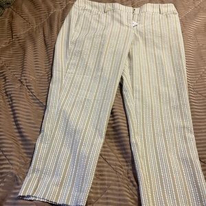 You Get Both Pair Crop Pants